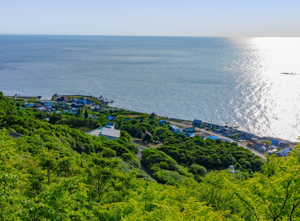 雄冬海岸